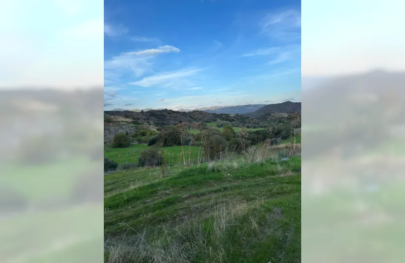 Участок с традиционным домом - 16269, photo 19