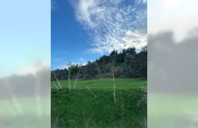 Участок с традиционным домом - 16269, photo 18