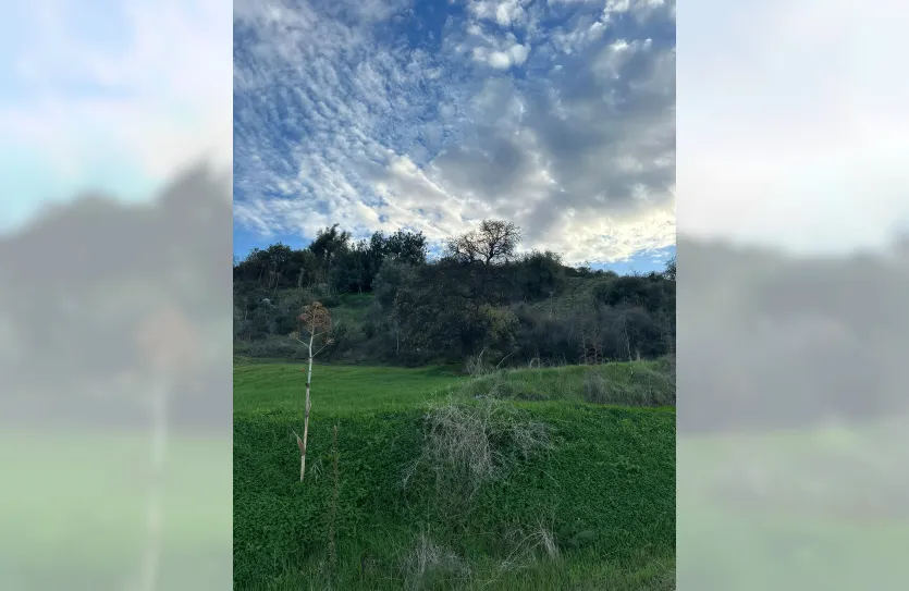 Участок с традиционным домом - 16269, photo 17