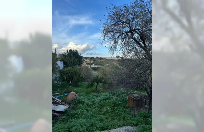 Участок с традиционным домом - 16269, photo 16