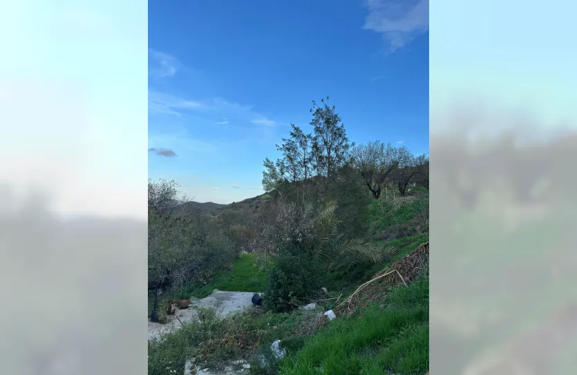 Участок с традиционным домом - 16269, photo 14