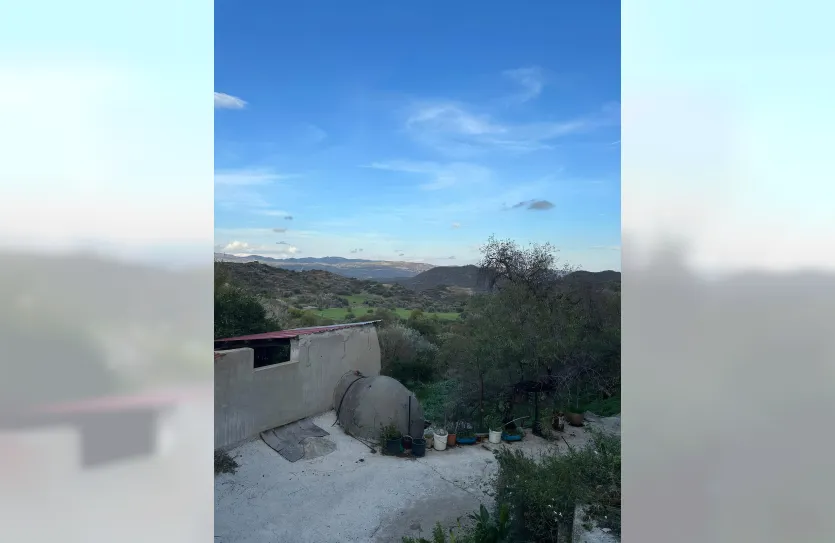 Участок с традиционным домом - 16269, photo 5