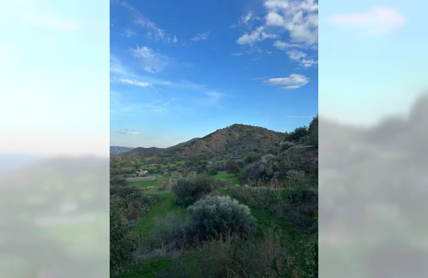 Участок с традиционным домом - 16269, photo 23