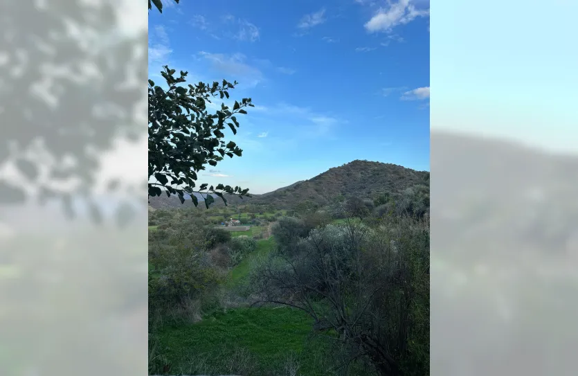 Участок с традиционным домом - 16269, photo 24