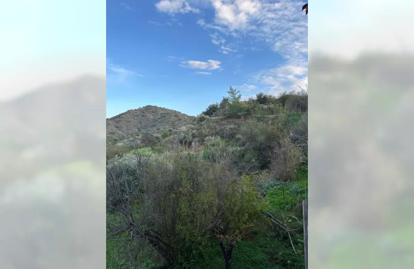 Участок с традиционным домом - 16269, photo 25