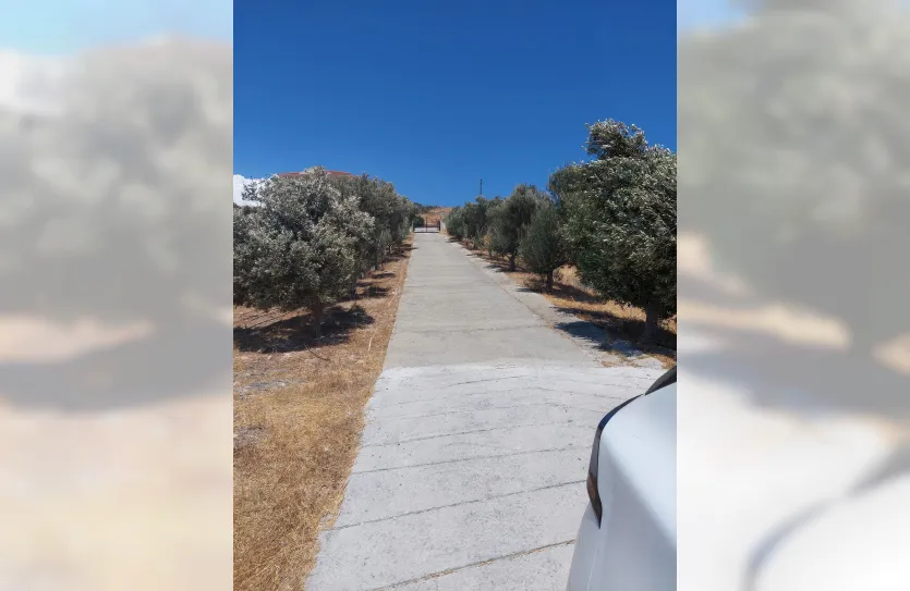 4 bedroom villa - 16477, photo 26