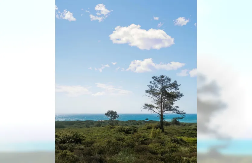 4 bedroom villa - 16635, photo 12