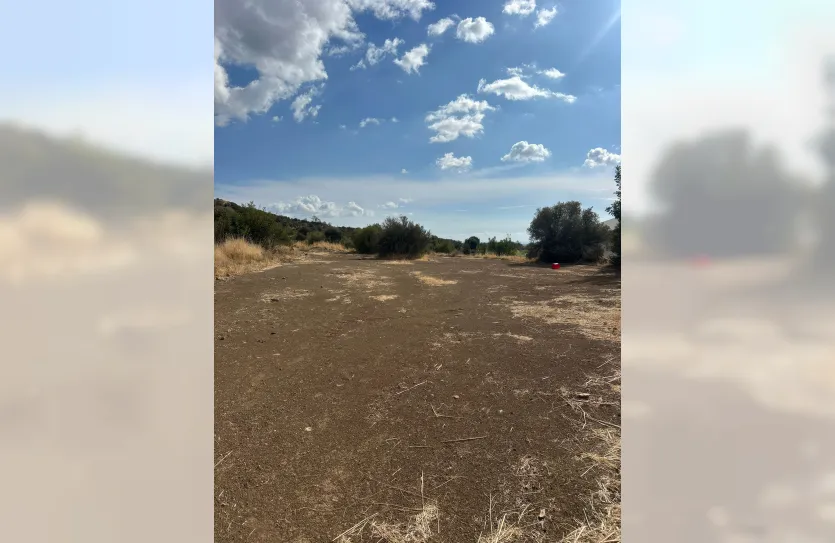 Agricultural plot - 17750, photo 2