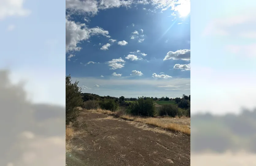 Agricultural plot - 17750, photo 3