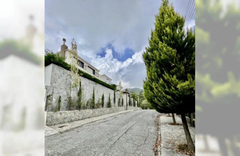 2 bedroom apartment - 17812, photo 9