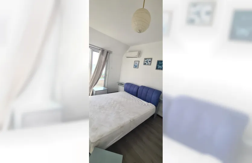 1 bedroom apartment - 17902, photo 3